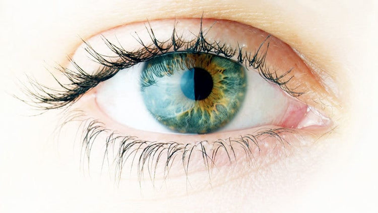 Hyaluronsäure im Auge